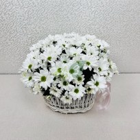 Корзина белых хризантем
