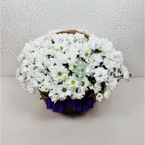 Корзина белых хризантем
