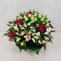 Роскошные альстромерии в корзине