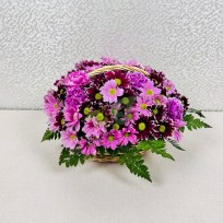 Хризантемы и астры в корзине